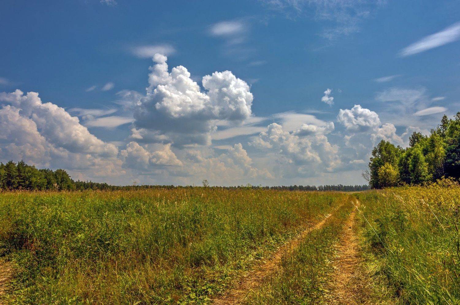 On the road with clouds. Автор: Валерий , Валерий