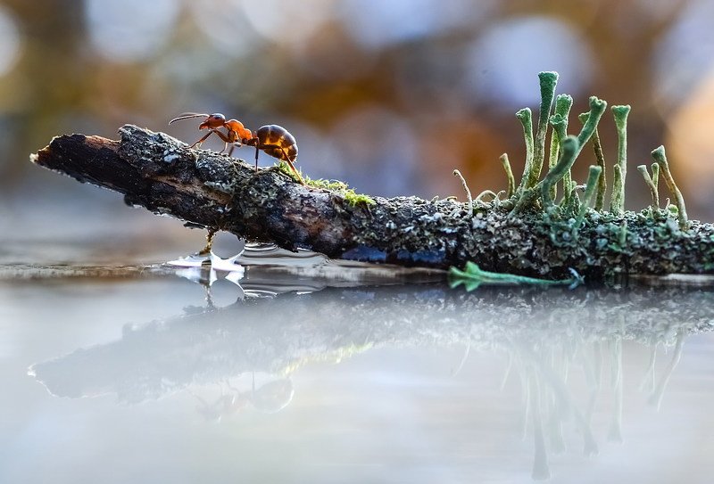 Не все дороги гладкие...photo preview