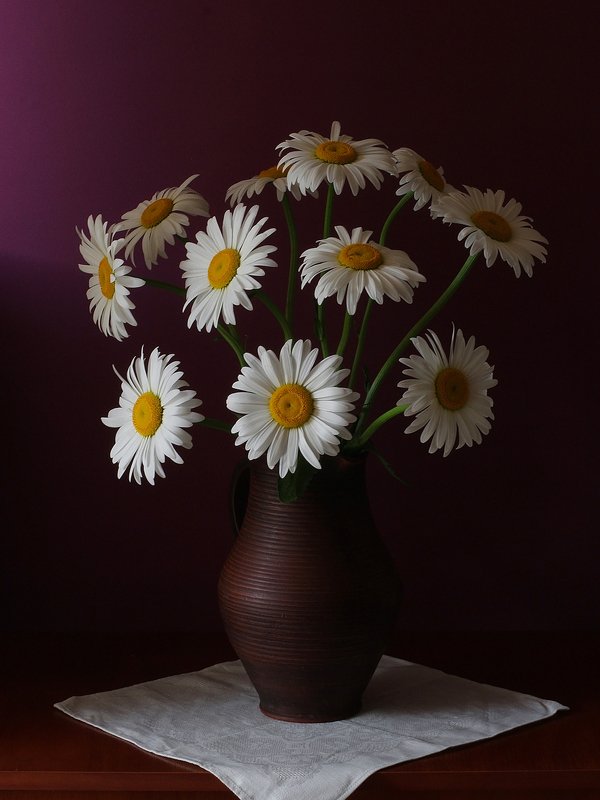 Ромашкиphoto preview