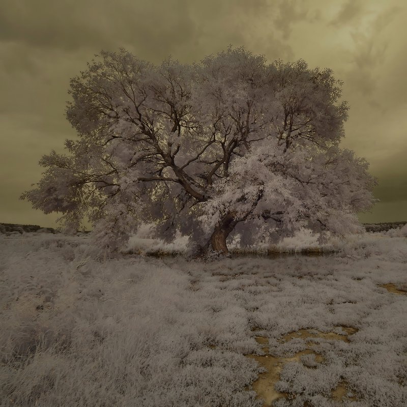 инфракрасный ***photo preview