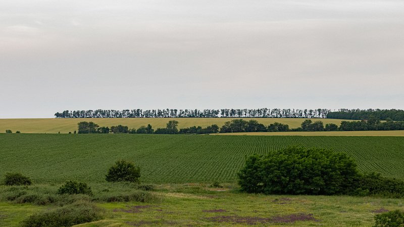 Иероглифыphoto preview