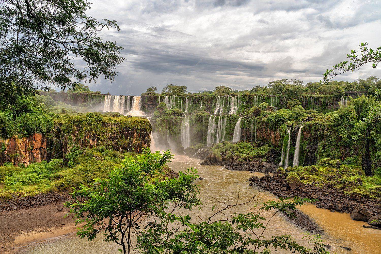 , Лариса Николаевна Дука