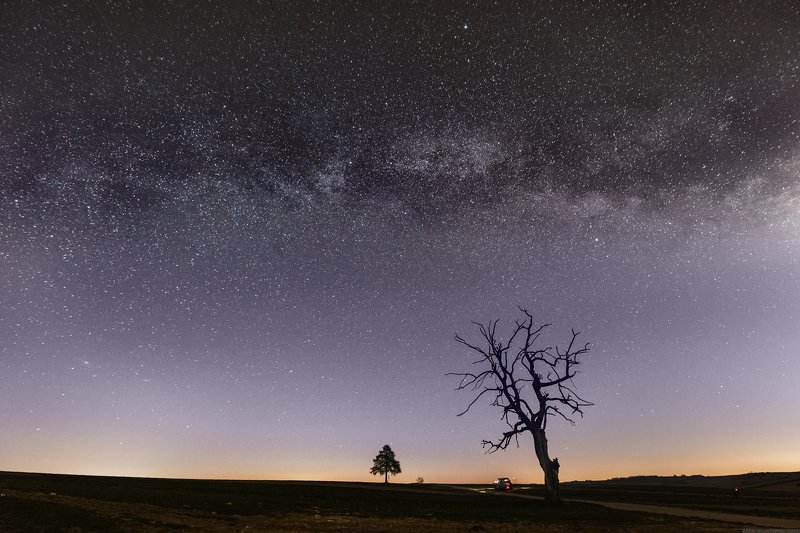 #landscape #panoramic #photo #nikon #poland #milkiway #sky #star #space #night #tree #galaxy Milky Wayphoto preview