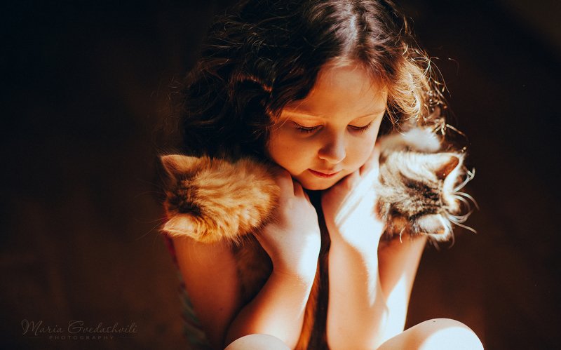 kitten, cat, girl, cute, portrait, mariagvedashvili ***photo preview