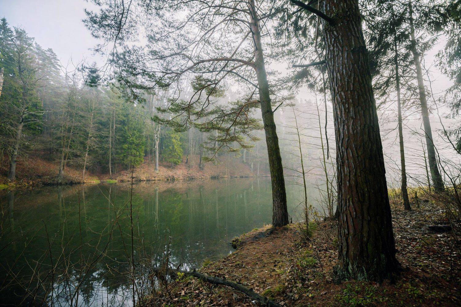 Утро. Автор: Копычко Михаил , Копычко Михаил