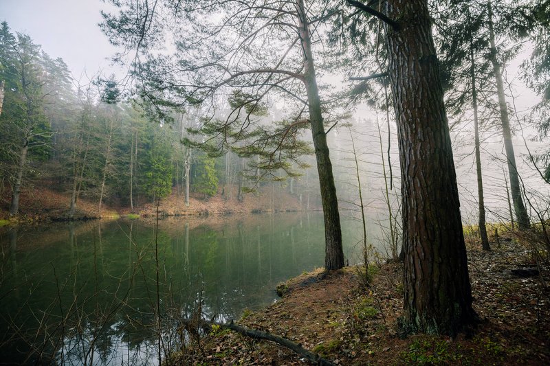 Утроphoto preview