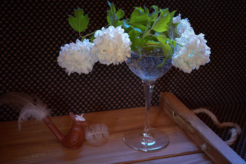 Июньский снегphoto preview