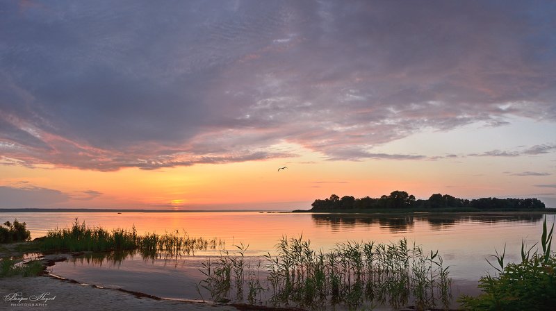 июнь, лето, рассвет, восход, небо, облака, река Утро летнего солнцестоянияphoto preview