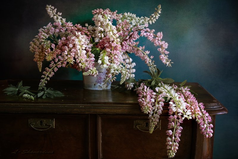 Люпиныphoto preview