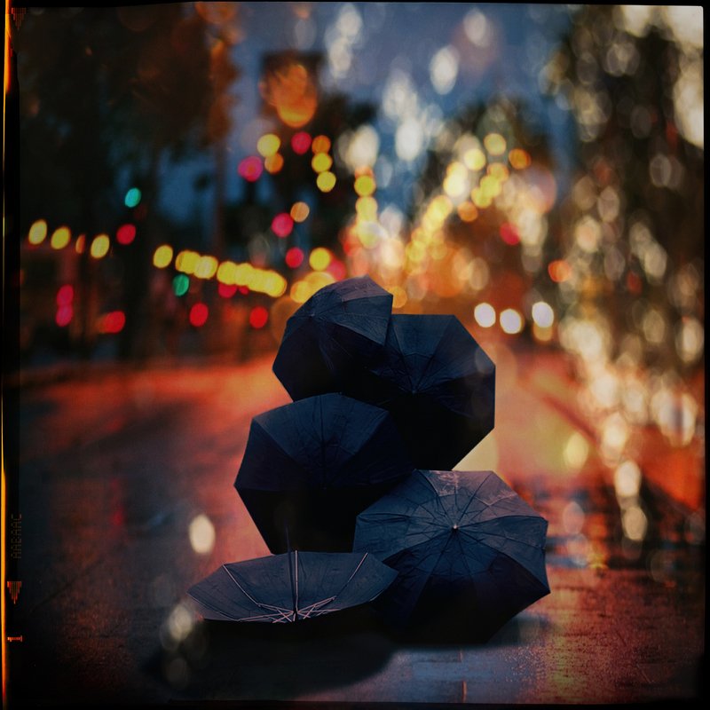 rainy daysphoto preview