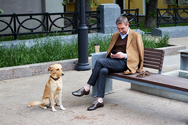 стрит, собака, друг, человека Друзьяphoto preview