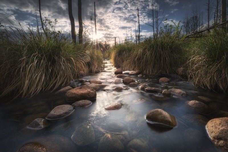 creek water river stones trees swamp grass Podlasie Poland Asylum...photo preview