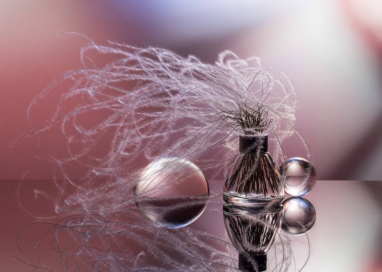 "Стекло и степной ковыль". Автор: Евгений Попов , Евгений Попов