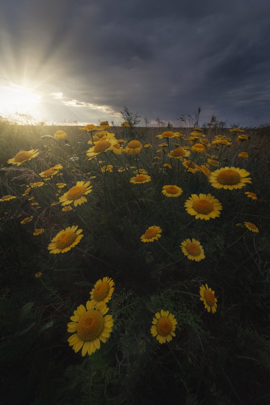 After rain photo preview