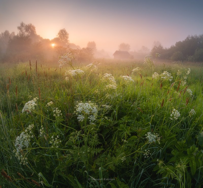 угра,утро,пейзаж,рассвет,туман,солнце,лучи Туманная нега июньского утра...photo preview
