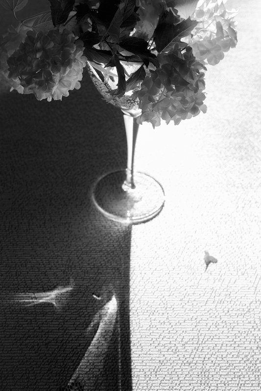 Единство света и тениphoto preview