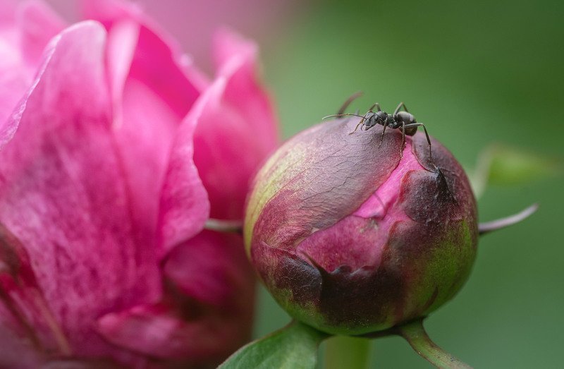 Про жизнь на других планетахphoto preview