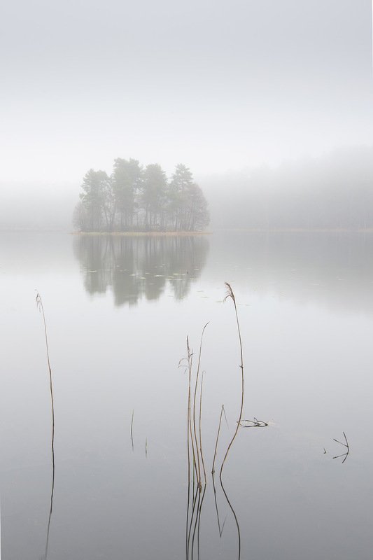 Туманный островокphoto preview