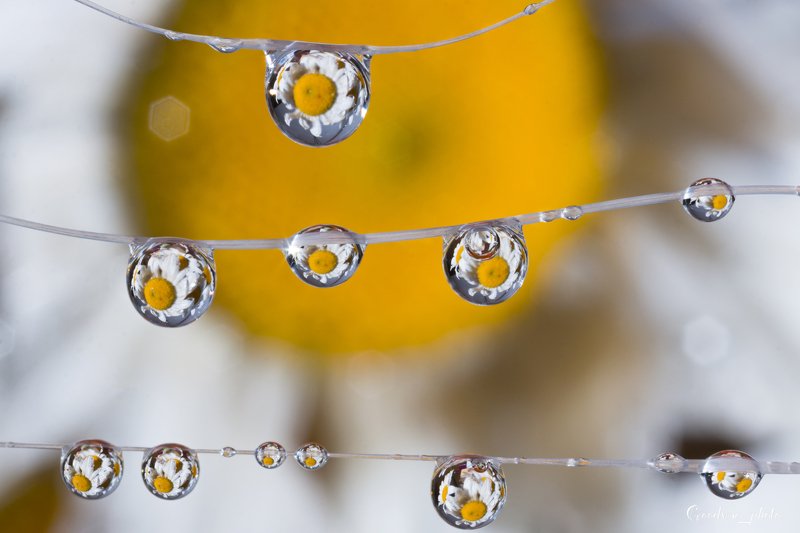 Бусыphoto preview