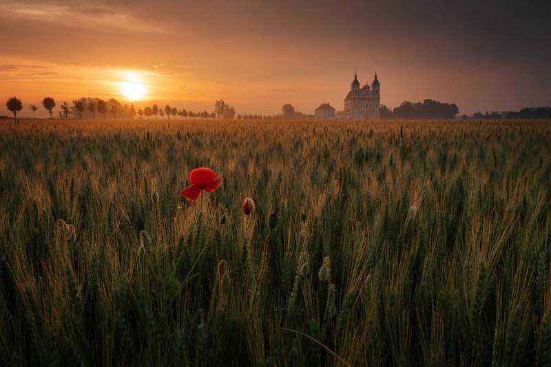 sunrise, landscapes, field, sky Sunrisephoto preview