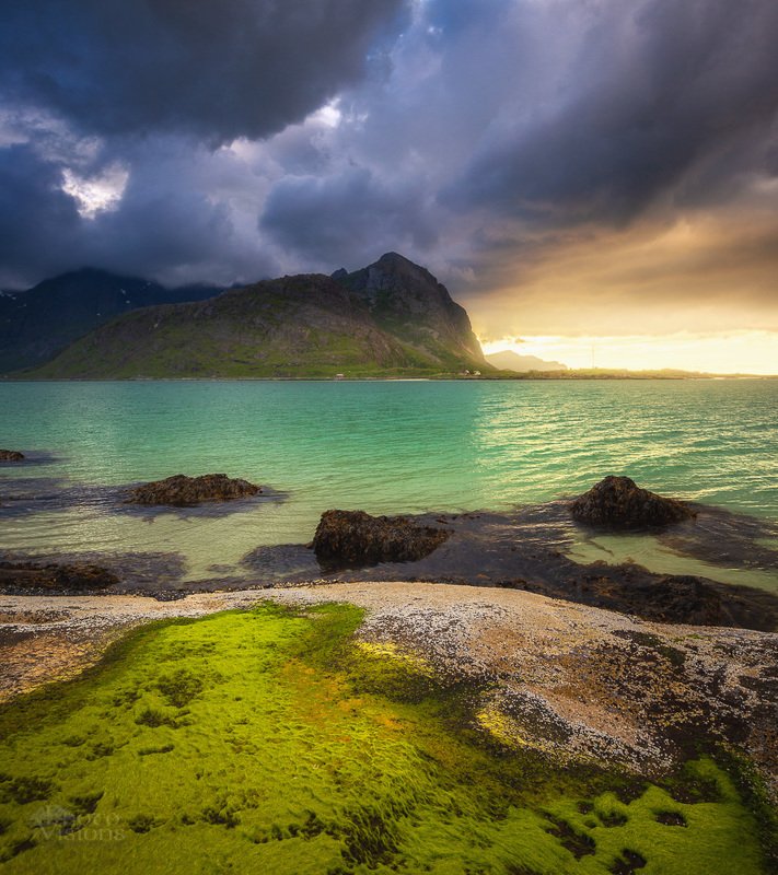 lofoten, norway, norwegian,landscape,summer,summertime, Colours of Lofoten in summertime.photo preview