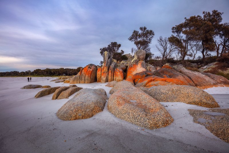 tasmania, bay of fires, cosy corner Winter in Tasmaniaphoto preview