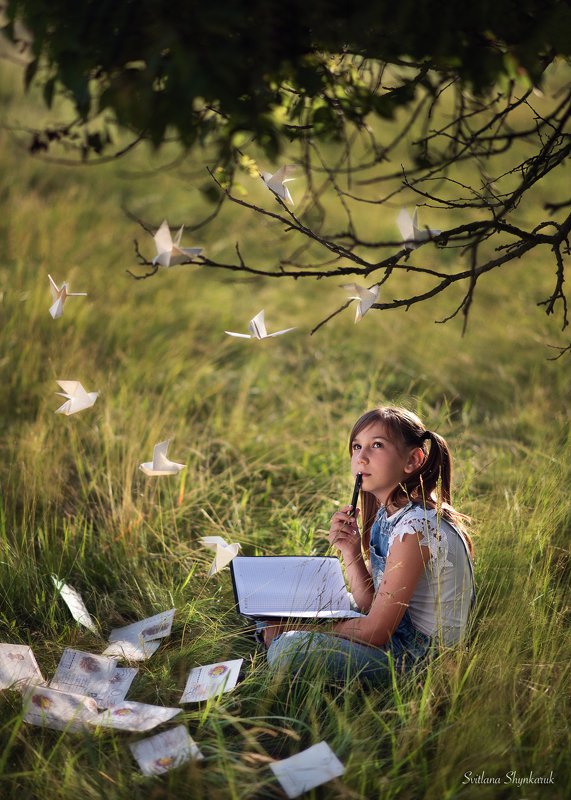 Сarrier pigeonphoto preview