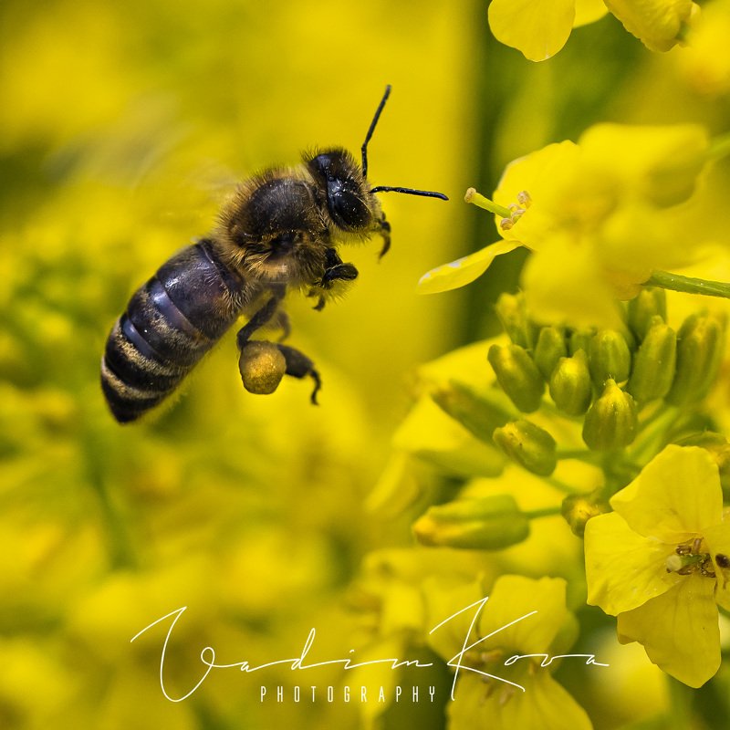 за работойphoto preview