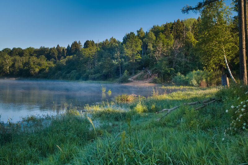 Летняя серия перед сентябрьской волной коронавирусаphoto preview