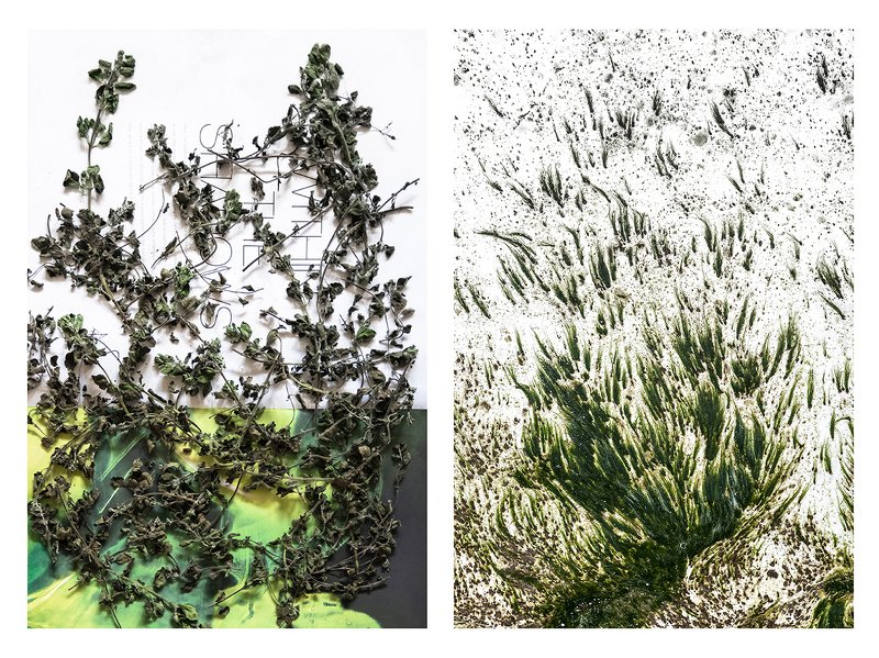 Natural resemblancephoto preview