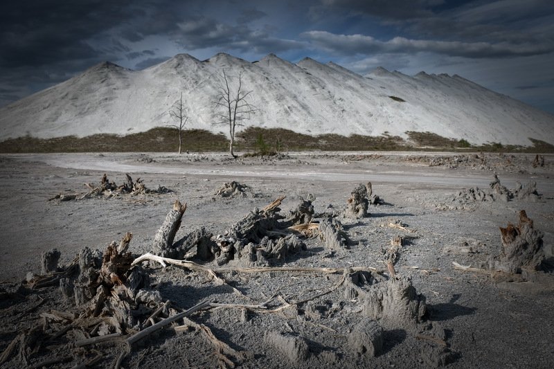 беларусь, гомель, горы, экология Dead naturephoto preview