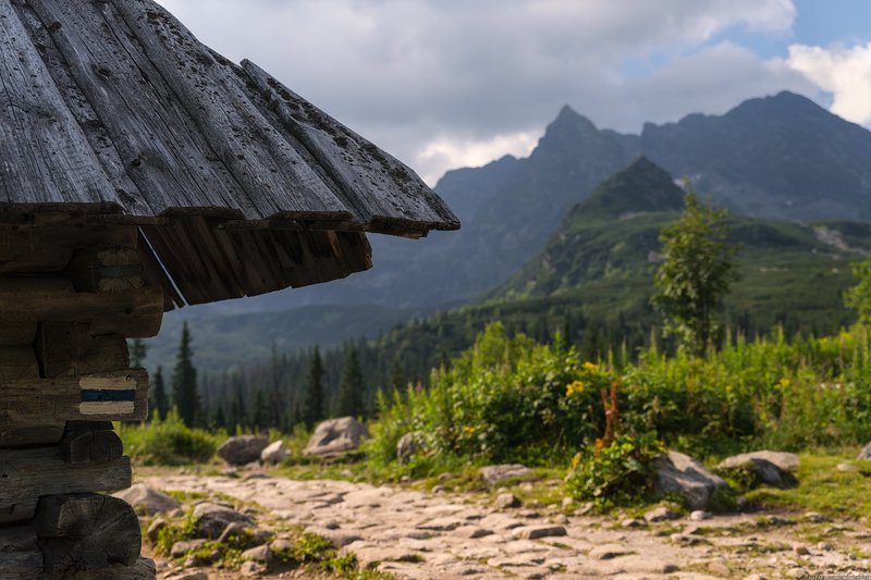 #landscape #panoramic #photo #nikon #poland #adventure  #mountains #sky #outdoors #nature #green Hala Gąsienicowa, Tatra Mountainsphoto preview