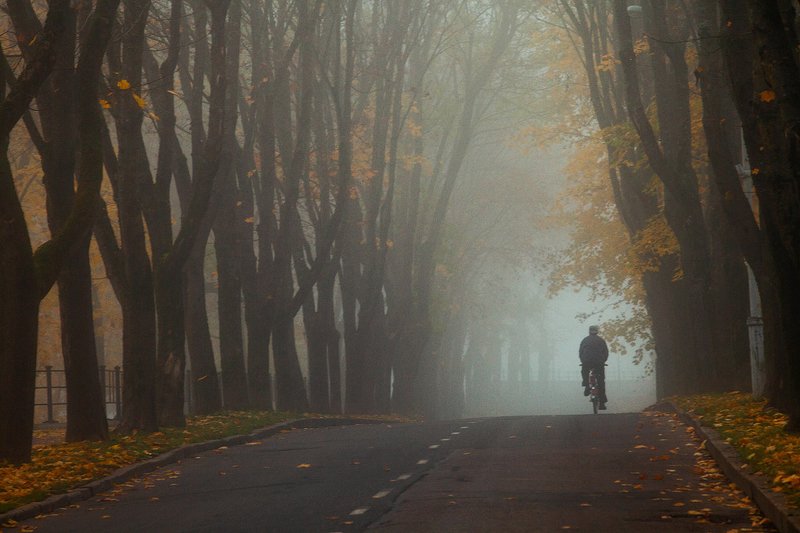 осень Осеньphoto preview