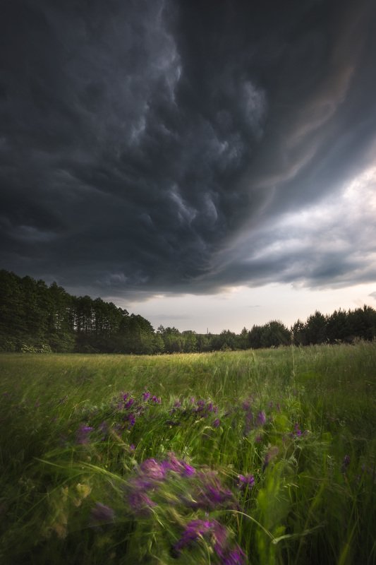 storm clouds light flowers outdoors drama sky Podlasie Poland I\'ll get hit someday...photo preview