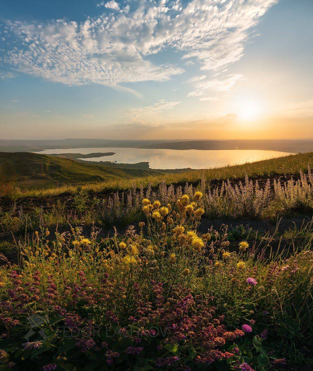 ставропольский край, путешествие, озеро, облака, небо, закат, сенгилеевское озеро, берег, степь, степное, разнотравье, цветы, луг, василёк, солнце, Лашков Фёдор