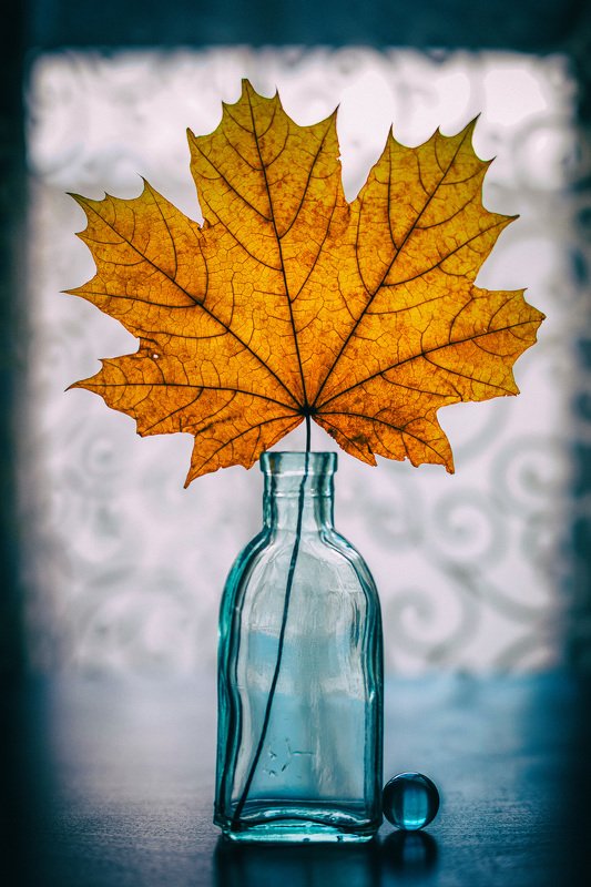 скоро осень. photo preview