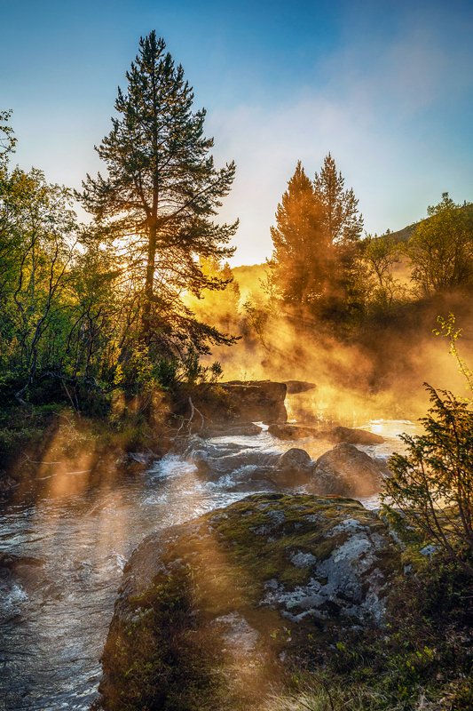 ночь солнце день полярный * * *photo preview