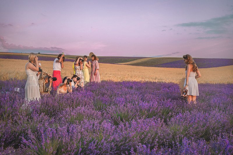 Крым.Лаванда.Вечер. фото превью