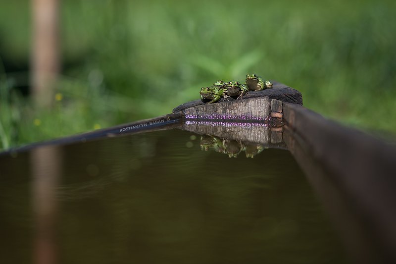 квартет на курортеphoto preview