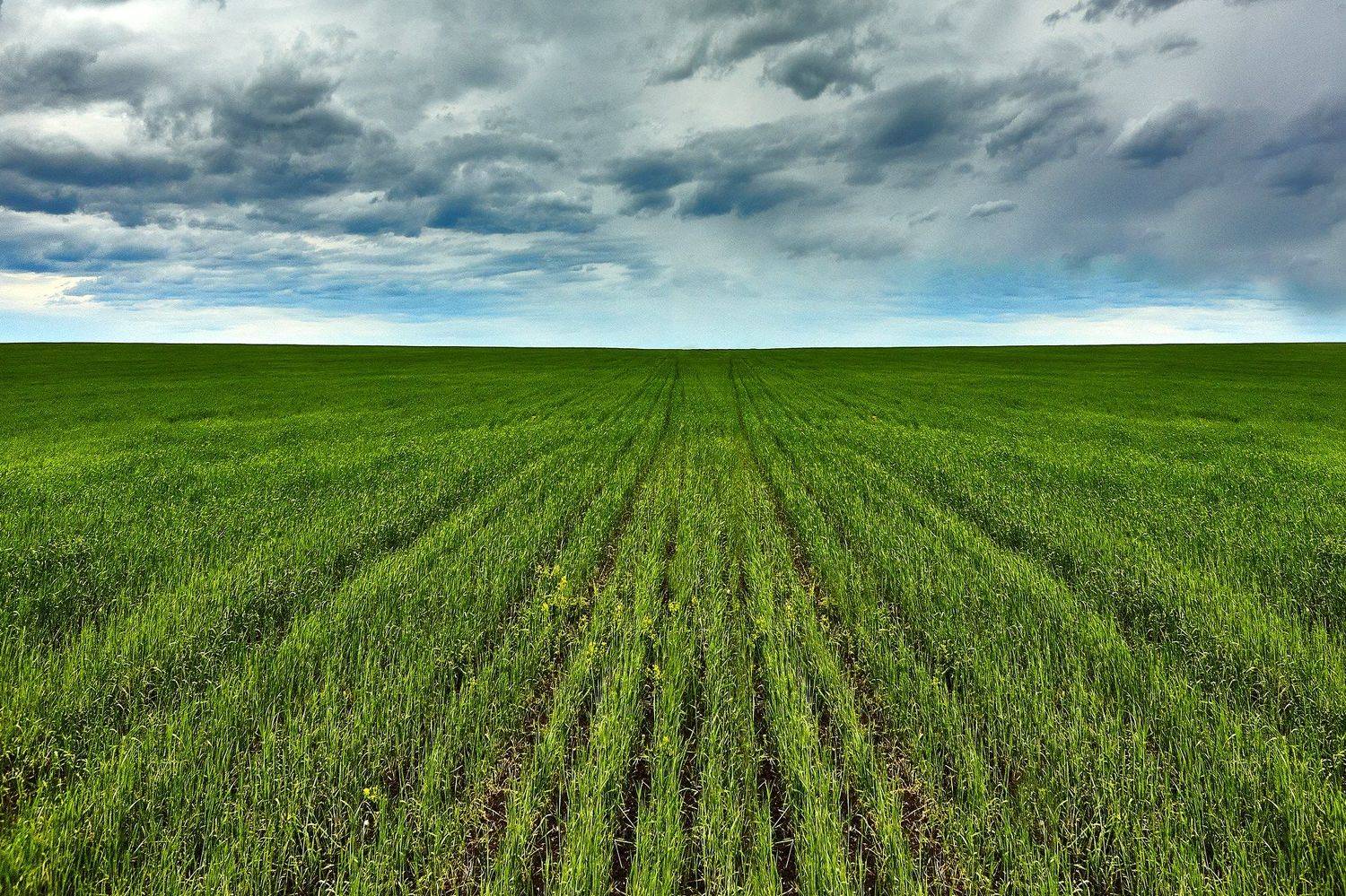 южный урал,оренбургская область, орск, новотроицк,башкирия, башкертостан, Качурин Алексей