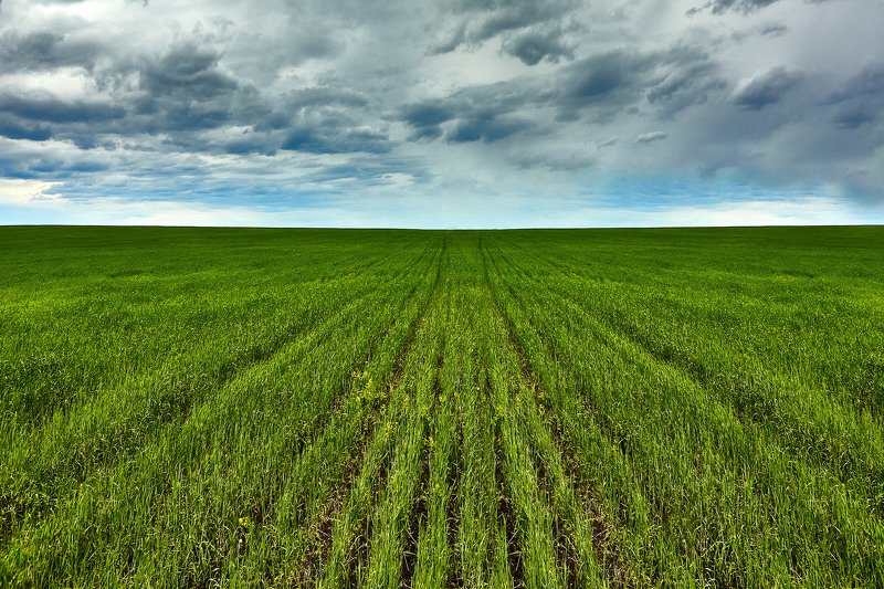 южный урал,оренбургская область, орск, новотроицк,башкирия, башкертостан *** фото превью