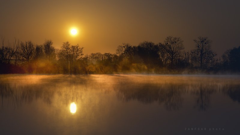магия рассвета,магия, рассвет,озеро, пруд ,солнце, герпес, туман,zanfoar,czech republic,czechia,чехия,nikon d750 магия рассветаphoto preview