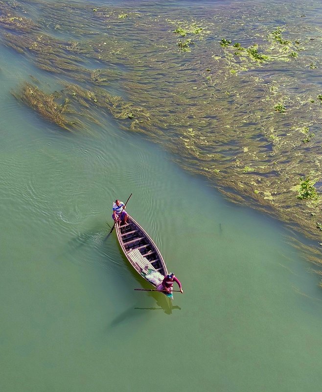#river, #boats, #alga, #green, #bangladrsh River and Boatsphoto preview