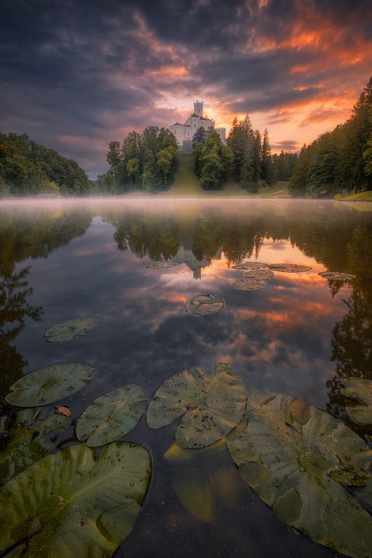 trakoscan, croatia, landscape, fog, mist, clouds, sky, reflection, tree, forest, mist, sunrise trakoscanphoto preview