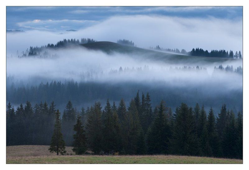 ПЛЫВУТ  ТУМАНЫphoto preview