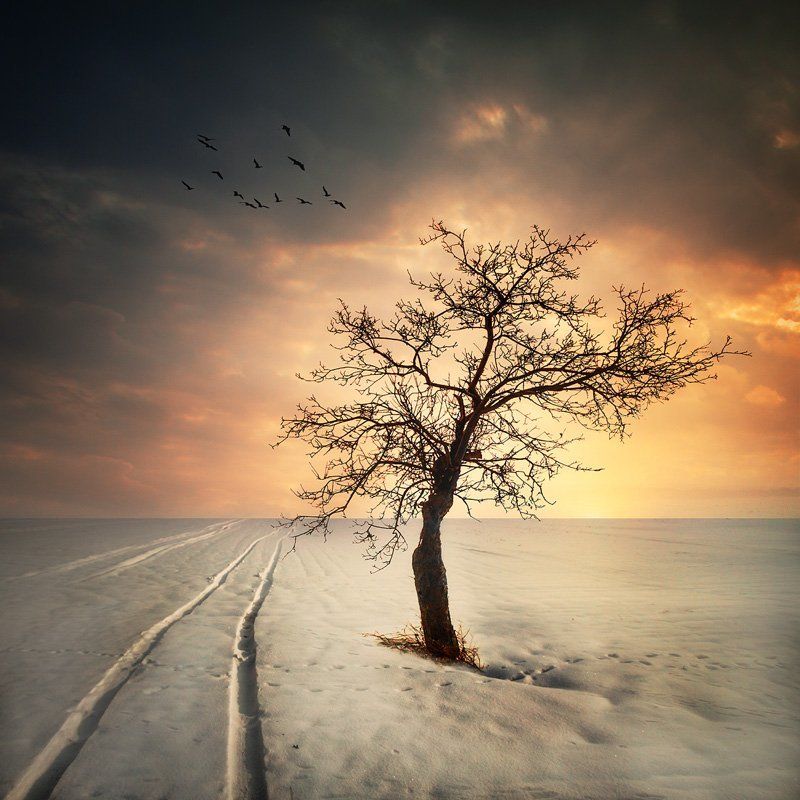 Winter timephoto preview