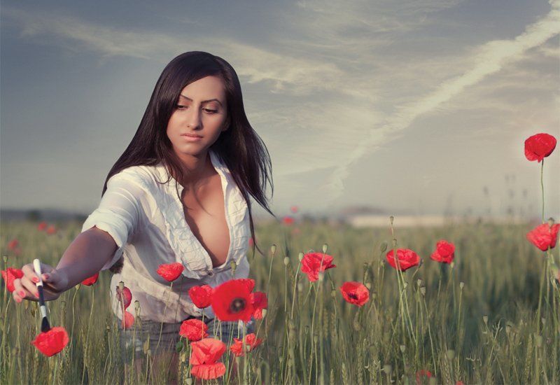 red ...photo preview