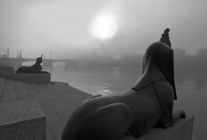 про туманное утроphoto preview