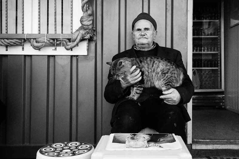 старик, кот, стамбул Два товарищаphoto preview