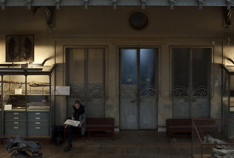 Gallery of Paleontologyphoto preview